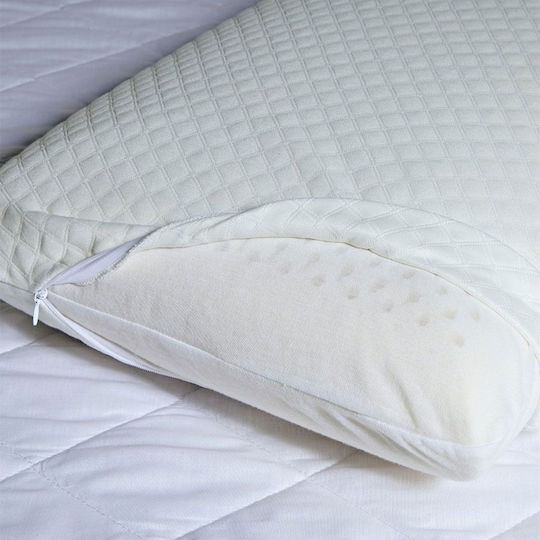Kentia Perna Pat Latex 40x70cm