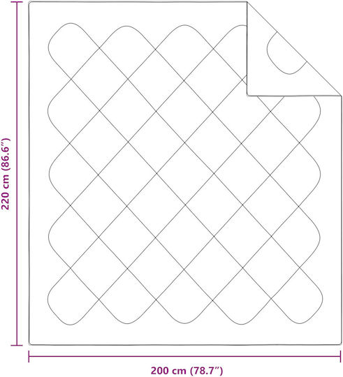 vidaXL Double Blanket 200x220cm White