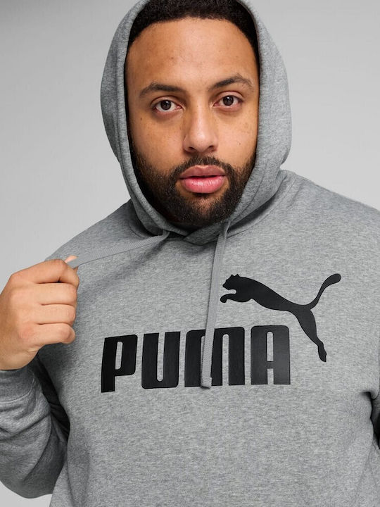 Sweatshirt mit Kapuze Gray