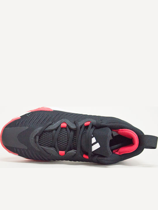 Initiation Low Basketball Shoes Black