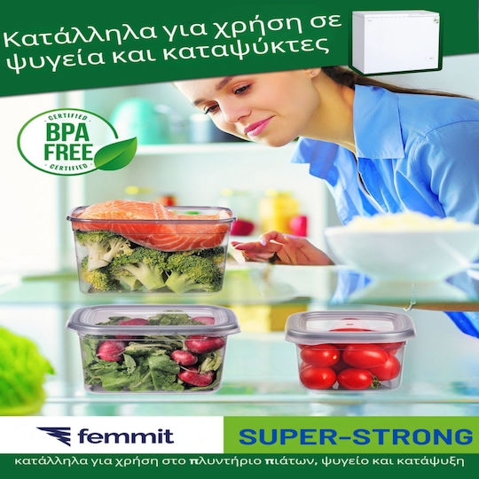 Femmit Vază Utilizare Generală 1700 Ml Cu Capac Ermetic Plastic