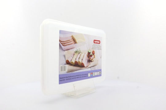 Cyclops Plastic Transparent Lunch Box With Compartments 23.5x16.5cm
