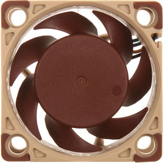Noctua NF-A4x20 5V Gehäuselüfter 40mm (5000rpm / 5.53cfm) Ohne LEDs Beleuchtung und Verbindung 3-polig Braune