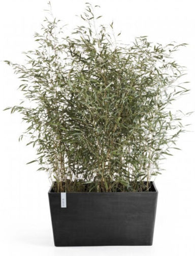 Ecopots Ζαρντινιέρα Πλαστική Ανθρακί 100x46x50εκ.