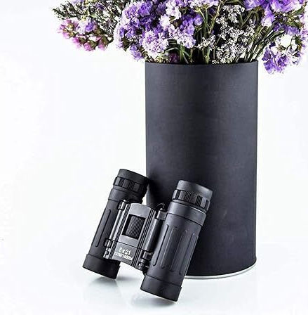 Κикилия 8x21мм