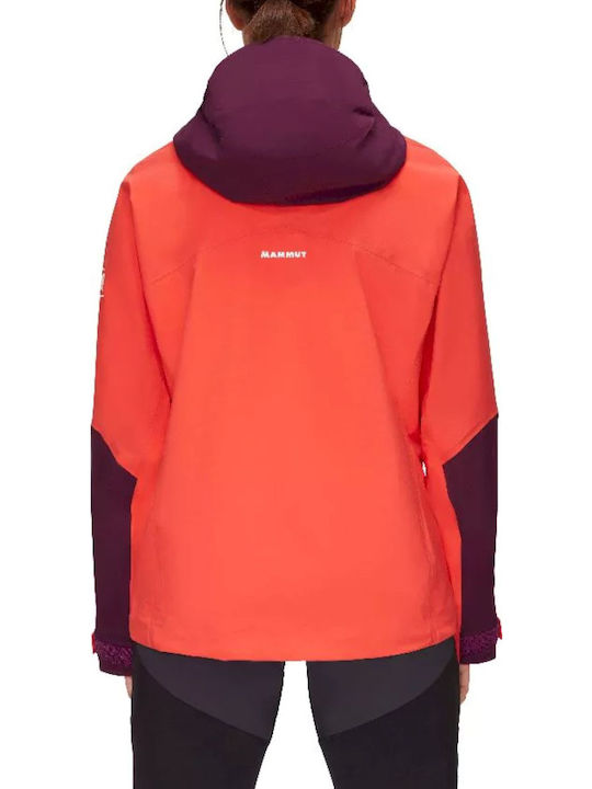 Mammut Mammut