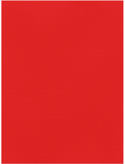 Favini Karton 50x70cm 220gr Rot Nr. 10