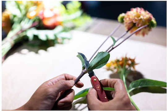 Victorinox Floral Pocket Knife 1 Tool Red
