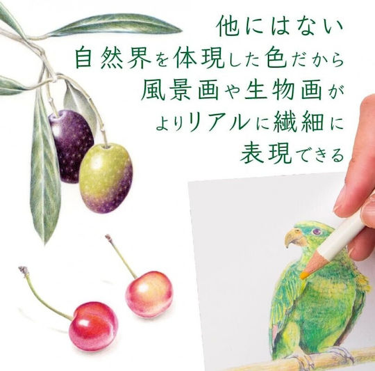 Tombow Buntstifte Irojiten
