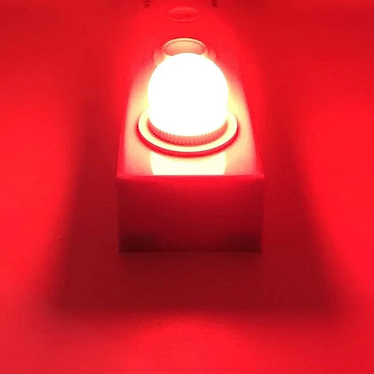 Led7 Λάμπα LED 2W για Ντουί E27 και Σχήμα G45 Κόκκινο 80lm Dimmable