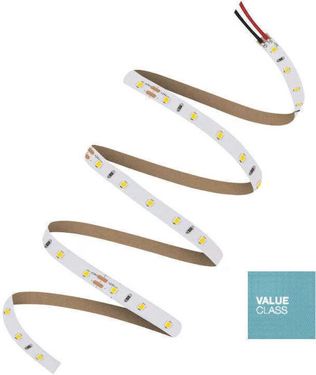 Ledvance Ταινία LED 24V Φυσικό Λευκό Φως 5m Τύπου SMD2835