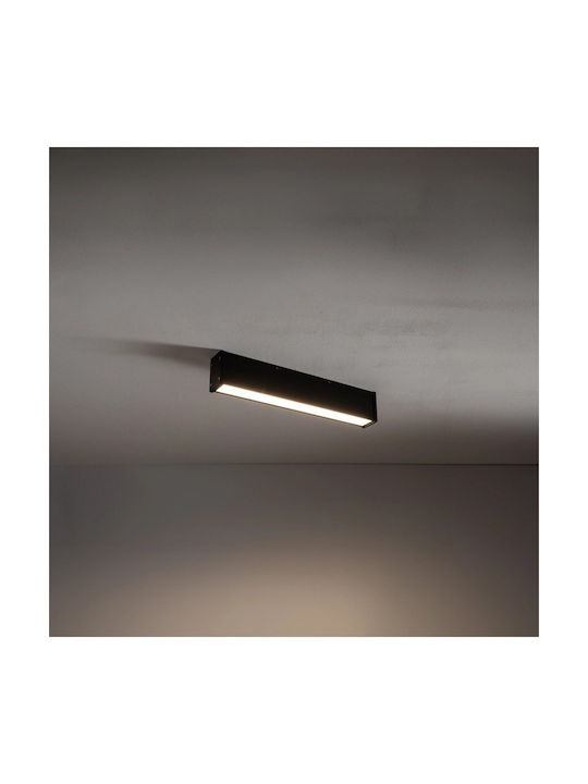 Nowodvorski Plafonieră 50buc LED