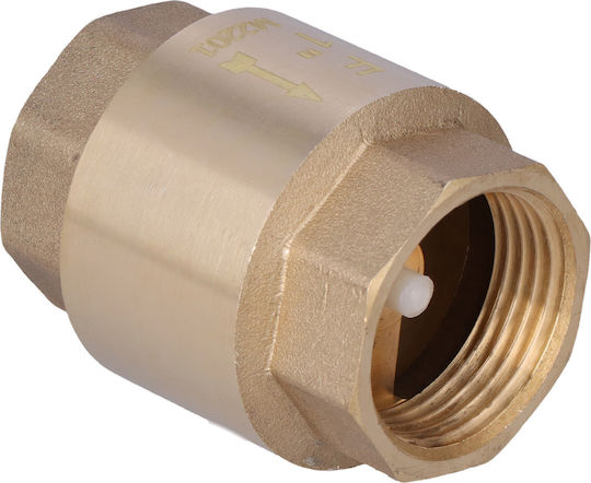 1 Inch Check Valve
