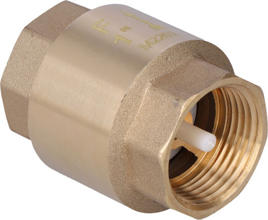 1 Inch Check Valve