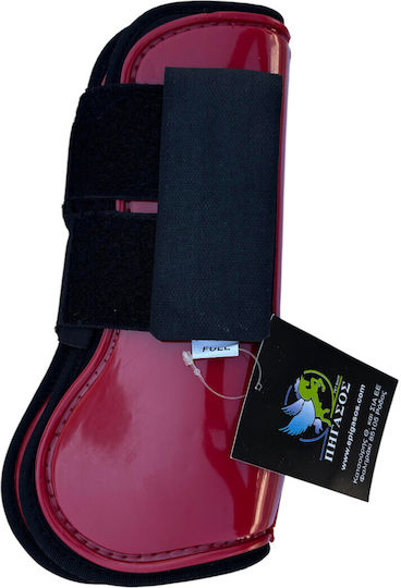 Epigasos Horse Tendon Boots 2 Pcs Front Bordeaux Full