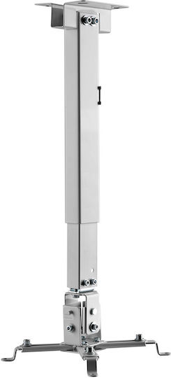 Lechpol Βάση Projector Τοίχου με Μέγιστο Φορτίο 20kg Γκρι