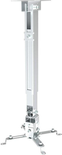 Manhattan Βάση Projector Τοίχου ICA-PM 16 με Μέγιστο Φορτίο 20kg Ασημί