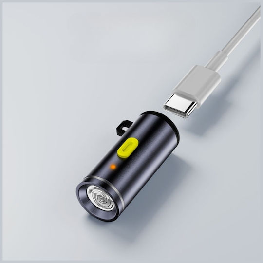 4Smarts Keychain USB 2.0 Cable USB-C male - USB-C 100W PD Μαύρο