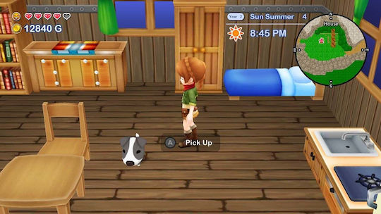 Harvest Moon:The Lost Valley & Skytree Village Switch Game