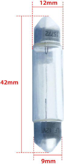 Bosch Bosch Autolampen C10W / SV8.5-8 Halogen Gelbe 12V 10W 2Stück