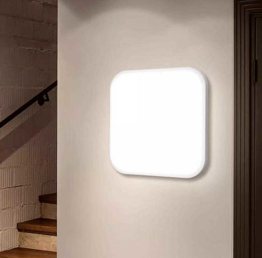Draußen LED-Panel 24W
