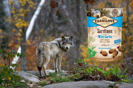 Carnilove Soft Dog Treat Grain Free with Sardine 200gr