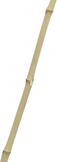 Campus Fishing Stable Landing Net with Length 70cm camp