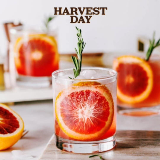Harvest Day Vodcă 37.5% 100ml
