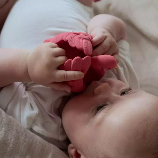Natruba Bath Toy for 0++ Months