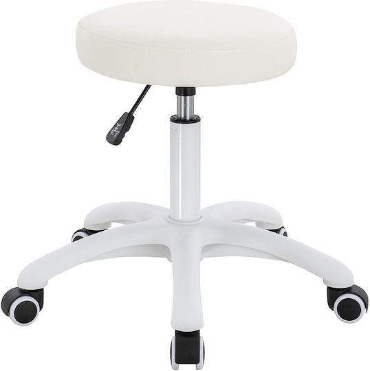 Salon Stools Scaun