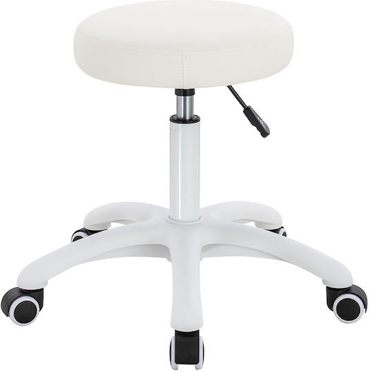 Salon Stools Scaun