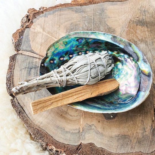 Smudge Set Palo Santo Sage Shell Space Aura Cleansing