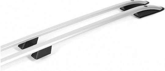 Roof Rails Volkswagen Caddy Ford Transit Connect Short 2020
