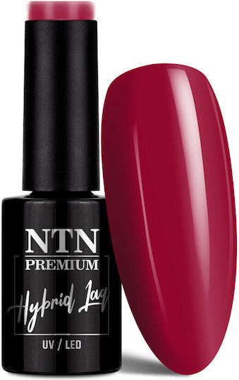 NTN Premium Хибриден Лак за Нокти 114 5мл 1бр