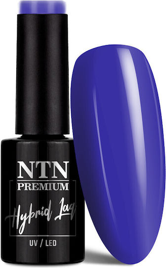 NTN Premium Halb-permanenter Nagellack 109 5ml 1Stück