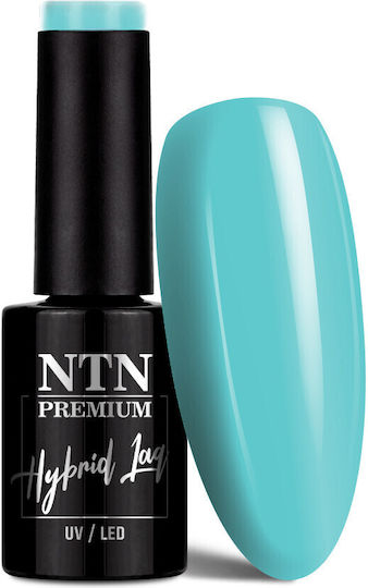 NTN Premium Halb-permanenter Nagellack 95 5ml 1Stück