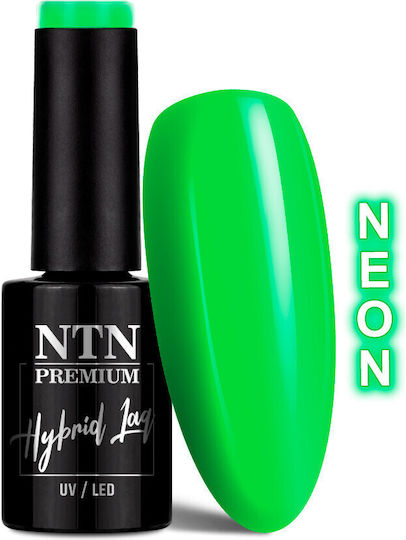 NTN Premium Semipermanent Lac de Unghii 146 5ml 1buc