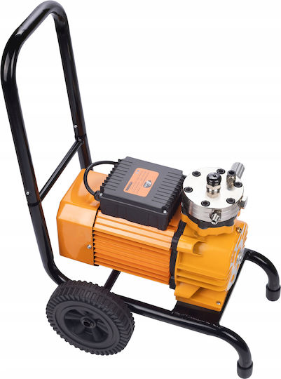 Rosfix Transportor Aer Rosfix Strong Blue Storm Sbs03 3500w 22mpa 18l/min + Lance 50cm + Pivotant