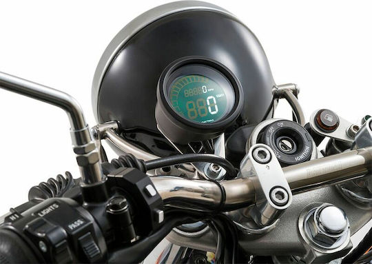 Daytona 85836