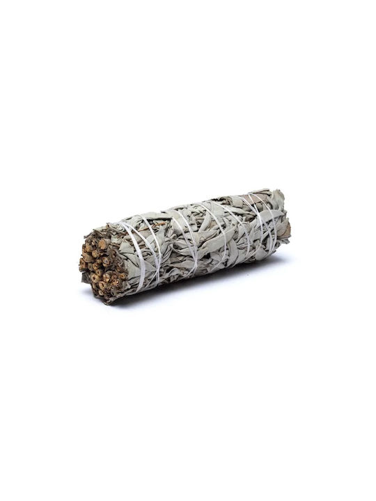 White Sage Smudge Stick 10χ3cm 2 Ραβδιά Θυμιάματος Λευκό Φασκόμηλο