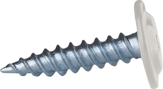 Etanco Βίδα με Διάμετρο M4.2 και Μήκος 19mm 250τμχ