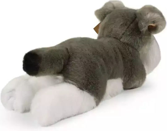 Rappa Plush Puppy for Newborns 28 cm