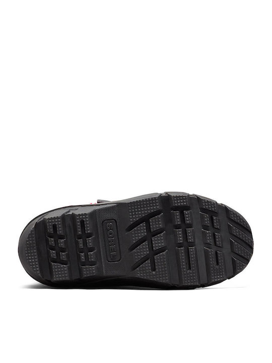 Sorel