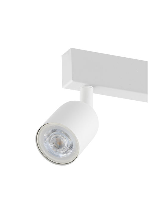 TK Lighting Top Spot with 4 Lights and with Socket GU10 in White Color