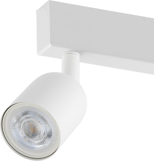 TK Lighting Top Spot with 4 Lights and with Socket GU10 in White Color