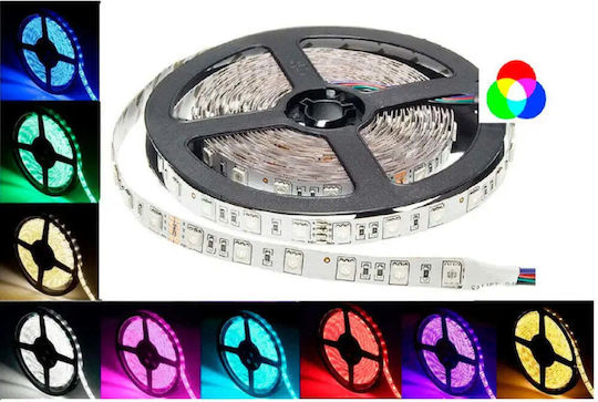 Vito LED Strip 12V RGB Light 5m Type SMD5050 with Power Supply