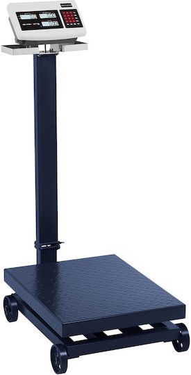 Steinberg Systems Πλάστιγγα με Κολώνα με Ικανότητα Ζύγισης 600kg και Ακρίβεια 100gr