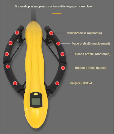 Dragonfly Arvadafit Ld/tf-01 Echipament Fitness – Echipament Versatil pentru Antrenamente Complete de Forță și Abdomen Ideal pentru Acasă Birou Galben