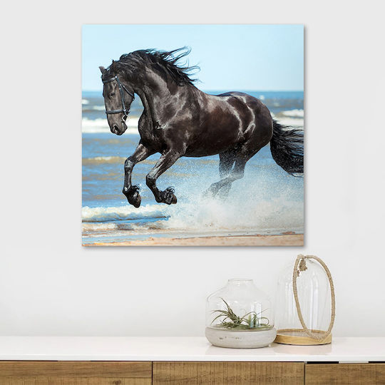 Megapap Black Horse σε Καμβά
