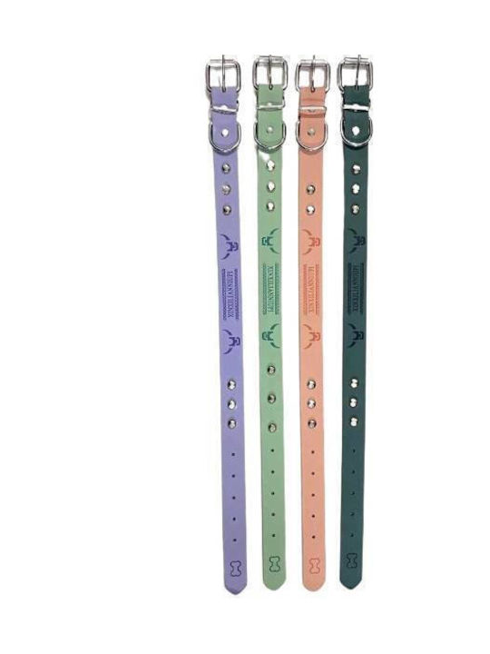 Dog Collar 30mm x 56cm 12pcs (Various Colors)